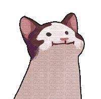 Cat Pop - Gratis animeret GIF