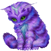 macska--szép lett--villog - Gratis geanimeerde GIF