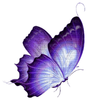 Mariposa - Rubicat - png gratuito