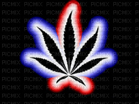 marijuana - darmowe png
