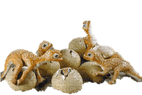 dinosaurs baby - png grátis