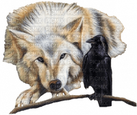 loup et corbeau - ücretsiz png