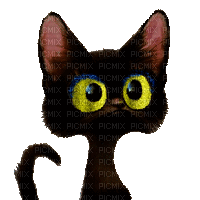 macska--mindig kicsit másak - GIF animado grátis
