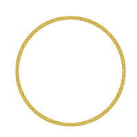 Frame Frames Circle Gold JitterBugGirl - Free PNG