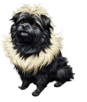 Hond - Free PNG