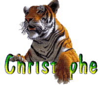 christophe - Animovaný GIF zadarmo