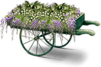 Carreta de flores - png gratis