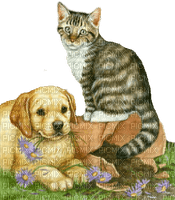 cat and dog - nemokama png
