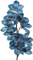 blue flower - Nemokamas animacinis gif