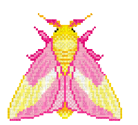 moth pixel art - GIF animate gratis