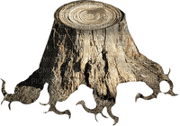 tree stump - бесплатно png