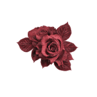 Розы Бордо - Gratis animerad GIF
