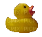 rubber ducky - GIF animé gratuit