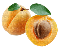 fruit apricots bp - 免费PNG