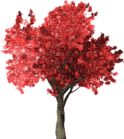 patrcia87 arbre - besplatni png