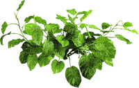 Kaz_Creations Deco Leaves Leafs Colours - 免费PNG