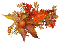 Autumn Bb2 - Free PNG