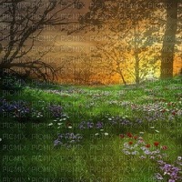 spring background - PNG gratuit