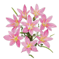 VanessaVallo _crea = pink flowers deco - Free PNG