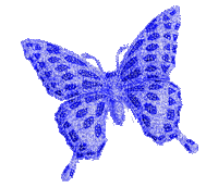 blue butterfly - GIF animate gratis