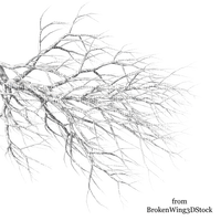 Winter Branch - darmowe png