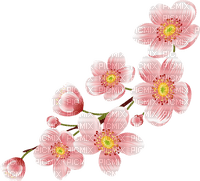 Flowers - darmowe png