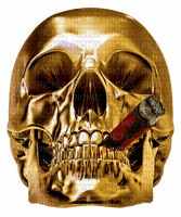 gold skull by nataliplus - bezmaksas png