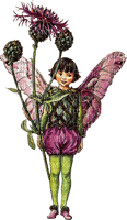 Fairy Girl - 無料png