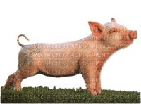 cerdo - darmowe png