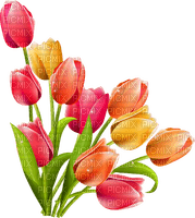 Bouquet of colored tulips - PNG gratuit