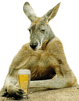 Kaz_Creations Funny Kangaroo Drinking Beer 🍻