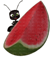 watermelon bp - gratis png
