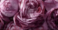 Animated Roses - Free animated GIF