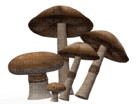 sieni, mushroom, sisustus, decor - безплатен png