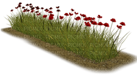 fleur,flower bed, garden, Adam64 - gratis png