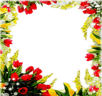 summer frame by nataliplus - zadarmo png
