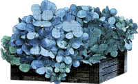 Bac Bois fleur Bleu:) - PNG gratuit