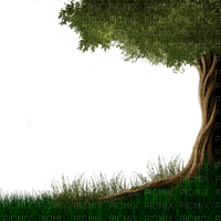 tree - PNG gratuit