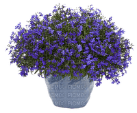 Pot.vase.PLants.purple.violette.Victoriabea