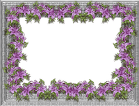 cadre fleurs mauves - darmowe png