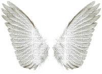 Angel Wings - Free PNG