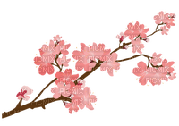 Branch pink flowers - gratis png