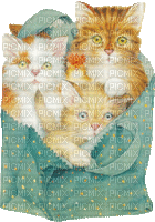 Three Cats in a Bag - GIF animé gratuit