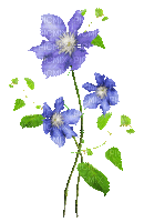 soave deco flowers  branch animated blue green - Kostenlose animierte GIFs