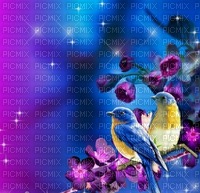spring_summer background - png gratuito