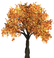 tree autumn automne - png ฟรี