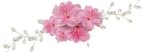 barra de flores - PNG gratuit