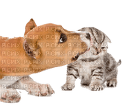 tiere milla1959 - 免费PNG