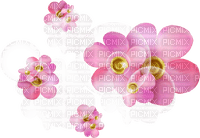 blommor-rosa----flowers-pink - 免费PNG