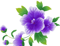 All my lovely flowers - ilmainen png
